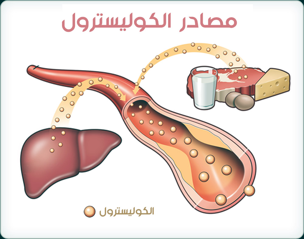 مصادر الكوليسترول 